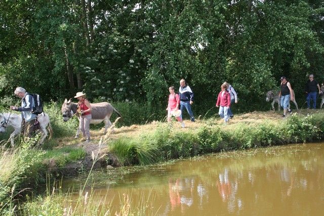 2015-07-06 rando anes (13).JPG